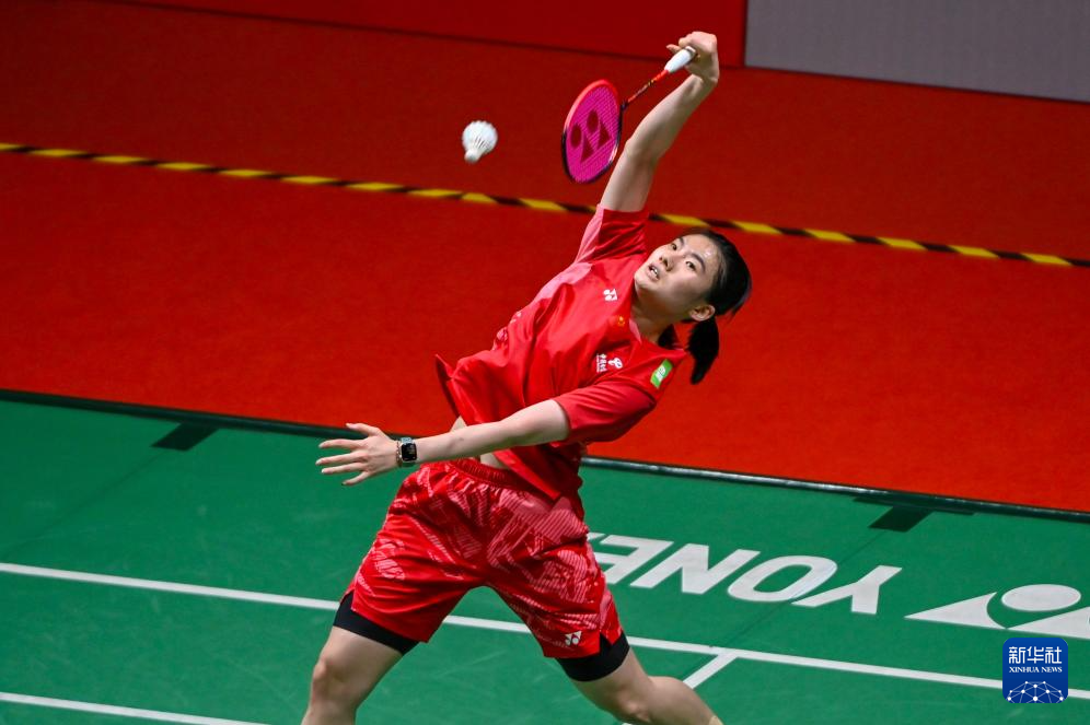 黄蜂在转化 黄蜂在转化